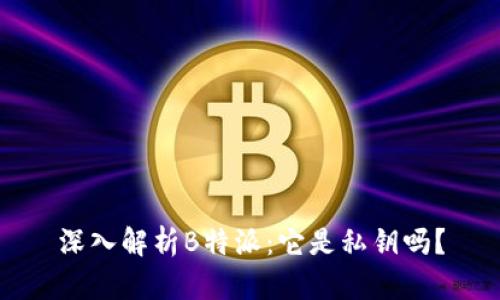 深入解析B特派：它是私钥吗？