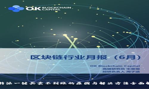 比特派一键买卖不到账的原因与解决方法全面解析
