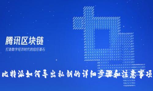 比特派如何导出私钥的详细步骤和注意事项