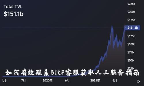 如何有效联系BitP客服获取人工服务指南