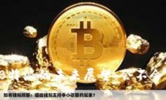 关于B特派的未来展望：会