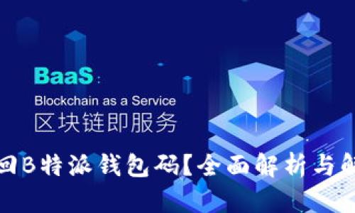 如何找回B特派钱包码？全面解析与解决方案