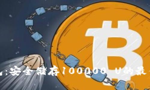 冷钱包：安全储存100000 U的最佳选择
