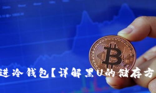 黑U能不能进冷钱包？详解黑U的储存方式与安全性