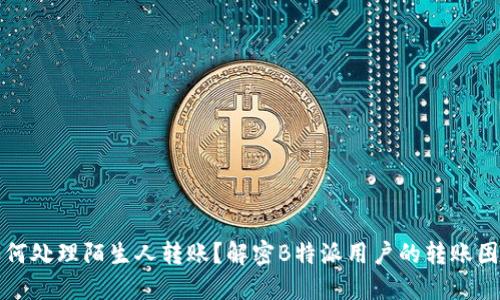 如何处理陌生人转账？解密B特派用户的转账困惑