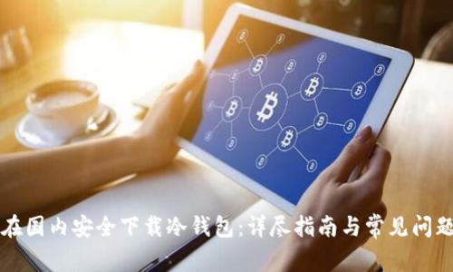 如何在国内安全下载冷钱包：详尽指南与常见问题解析