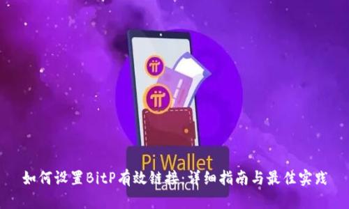 如何设置BitP有效链接：详细指南与最佳实践
