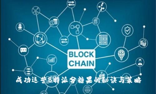 成功运营B特派分糖果的秘诀与策略