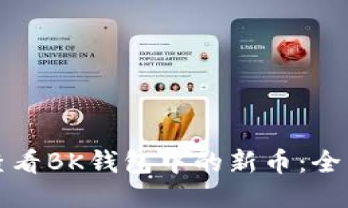 如何查看BK钱包中的新币：全面指南