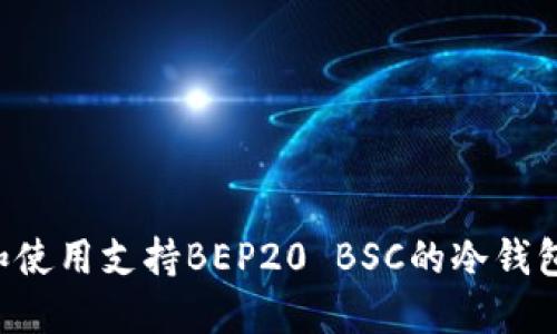 如何选择和使用支持BEP20 BSC的冷钱包：全面指南