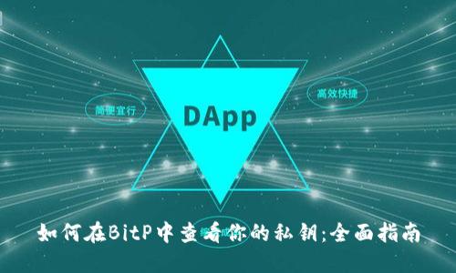 如何在BitP中查看你的私钥：全面指南