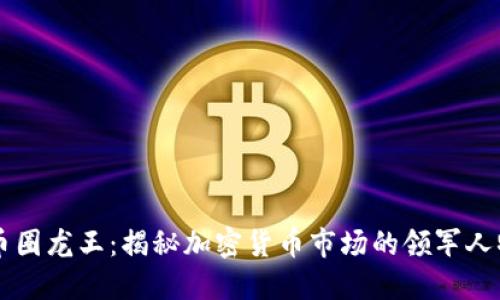 币圈龙王：揭秘加密货币市场的领军人物