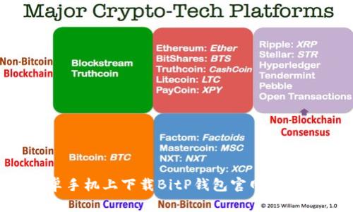 如何在安卓手机上下载BitP钱包官网版本：完整指南