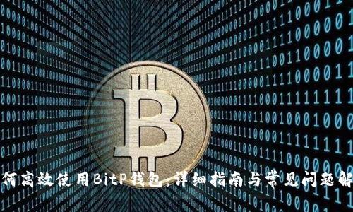 如何高效使用BitP钱包：详细指南与常见问题解答