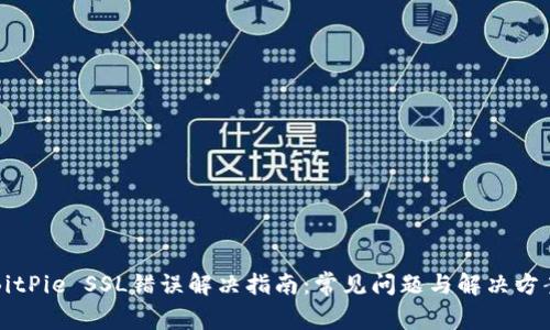BitPie SSL错误解决指南：常见问题与解决方案