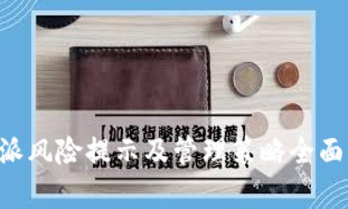 B特派风险提示及管理策略全面解析
